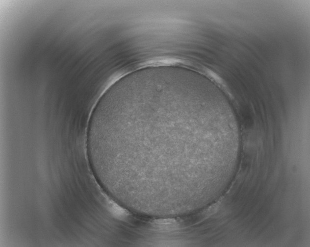 X0000066931186200604071838