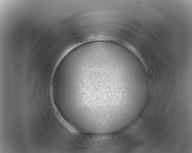 X0000066931187200604071838