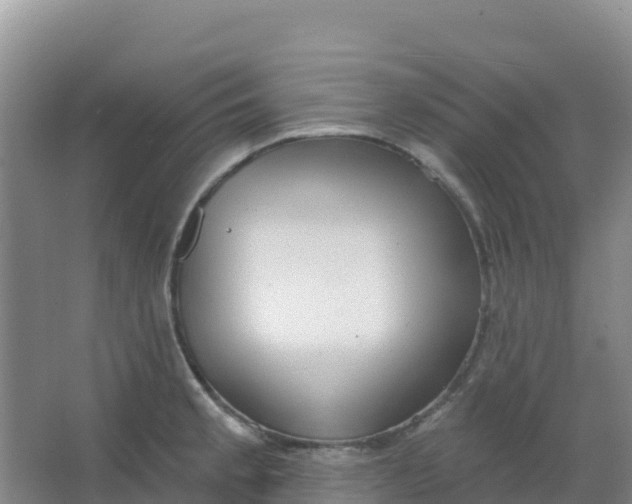 X0000066931189200604071838