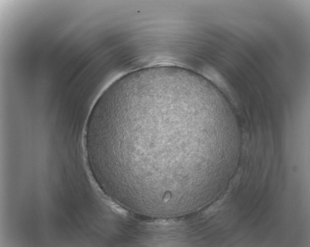 X0000066931190200604071838