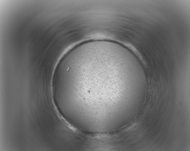 X0000066931191200604071838