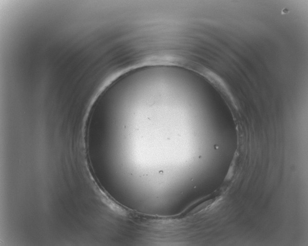 X0000066931192200604071838