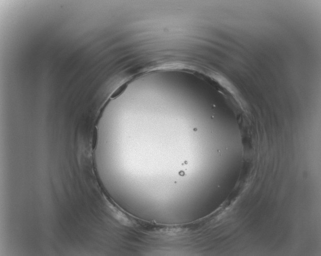 X0000066931193200604071838