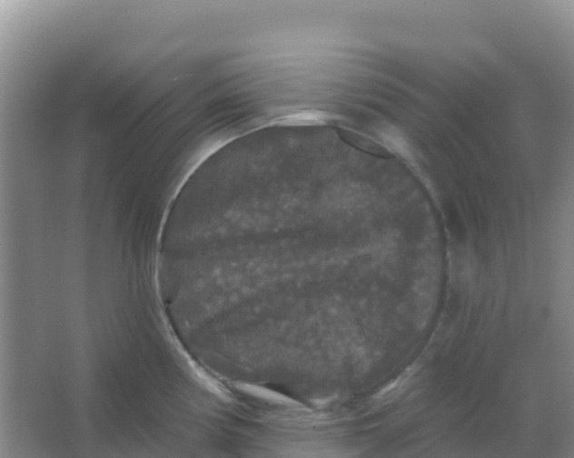 X0000066931194200604071838