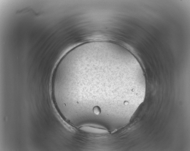 X0000066931195200604071838