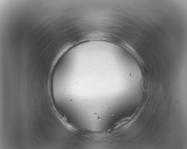 X0000066931196200604071838