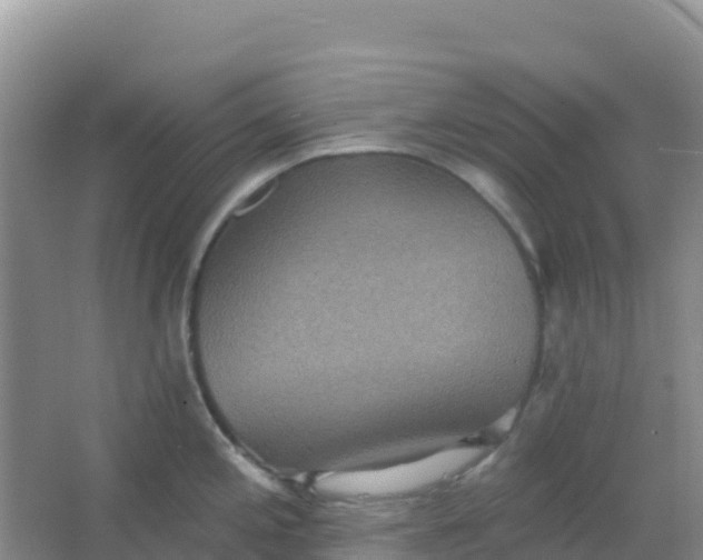 X0000066931197200604071838