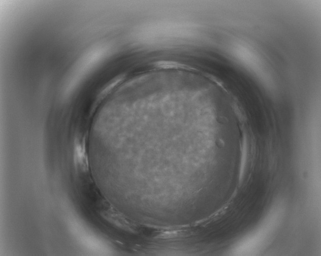 X0000066931198200604071838