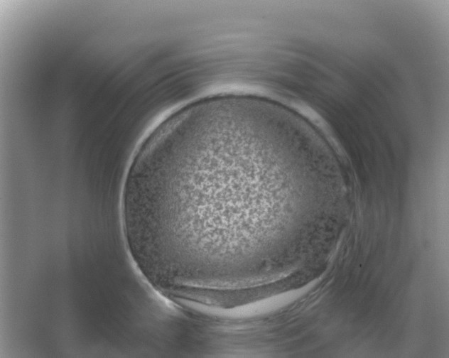 X0000066931199200604071838