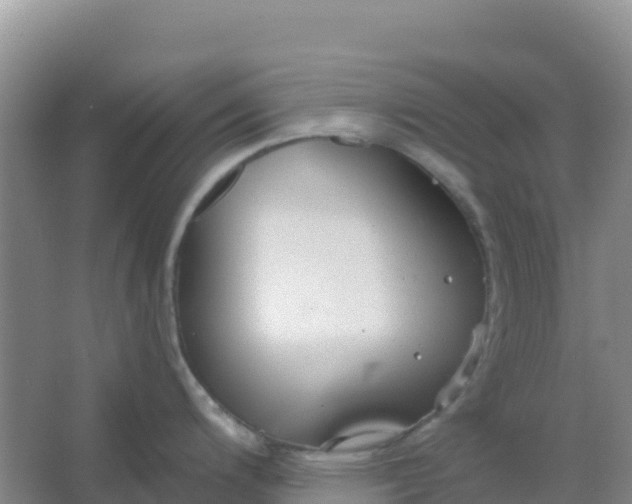 X0000066931200200604071838