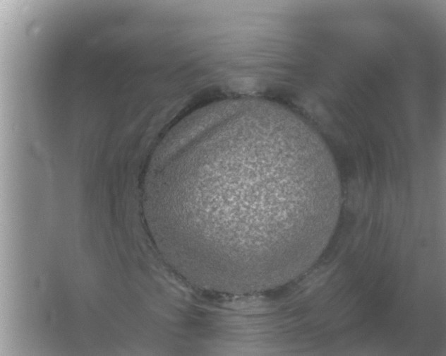 X0000066931201200604071837