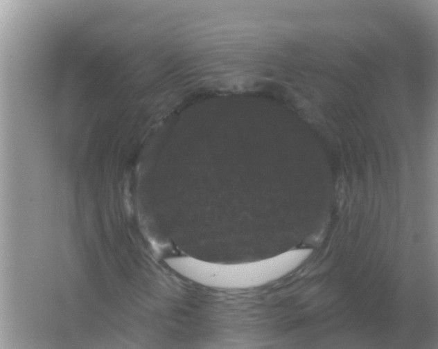 X0000066931202200604071837