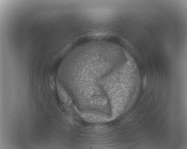 X0000066931204200604071837