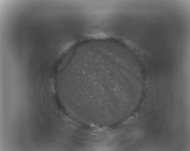 X0000066931205200604071837