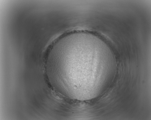 X0000066931207200604071837