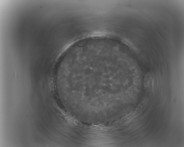 X0000066931208200604071837