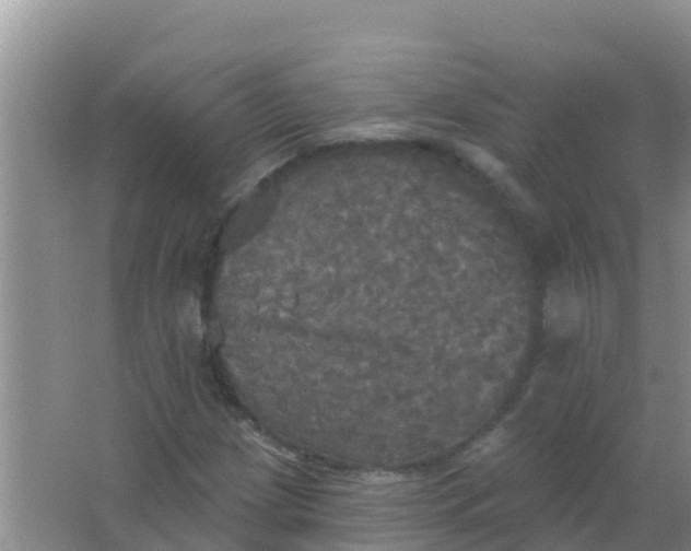 X0000066931209200604071837