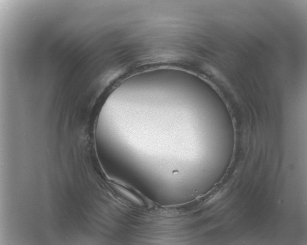 X0000066931210200604071837