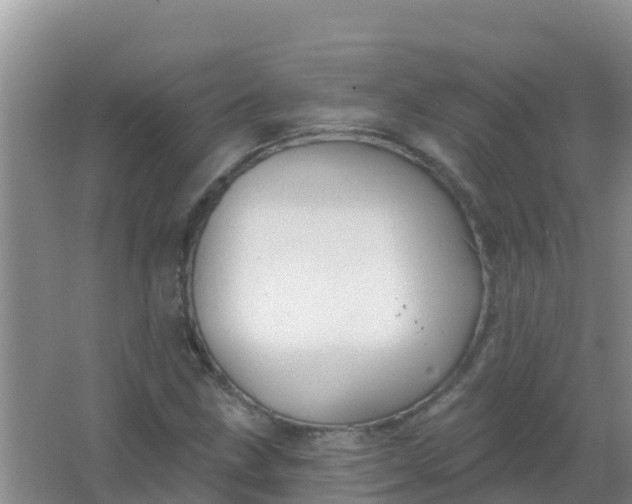 X0000066931211200604071837