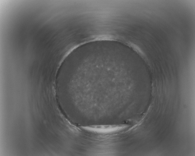 X0000066931212200604071837