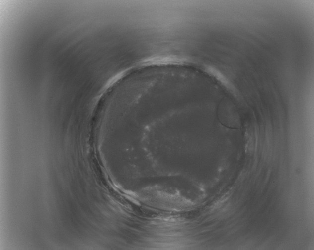 X0000066931213200604071837