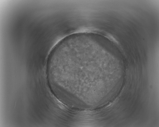 X0000066931216200604071837