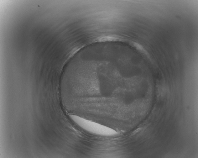 X0000066931217200604071837