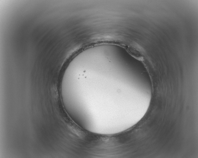 X0000066931218200604071837