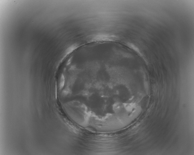 X0000066931219200604071837