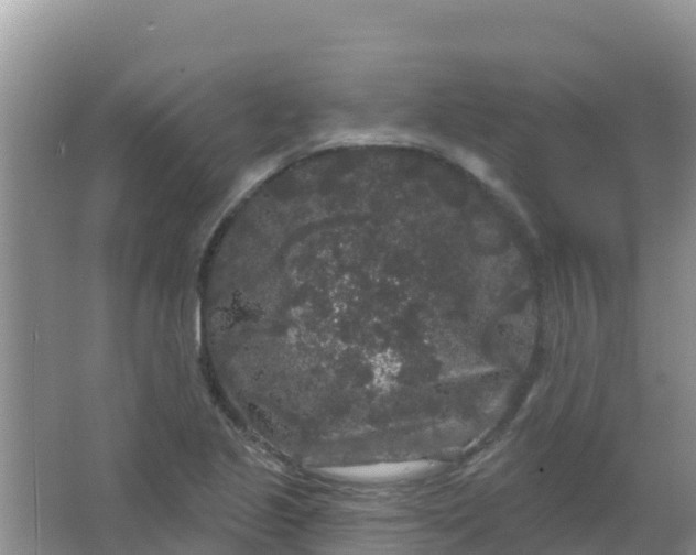 X0000066931221200604071838