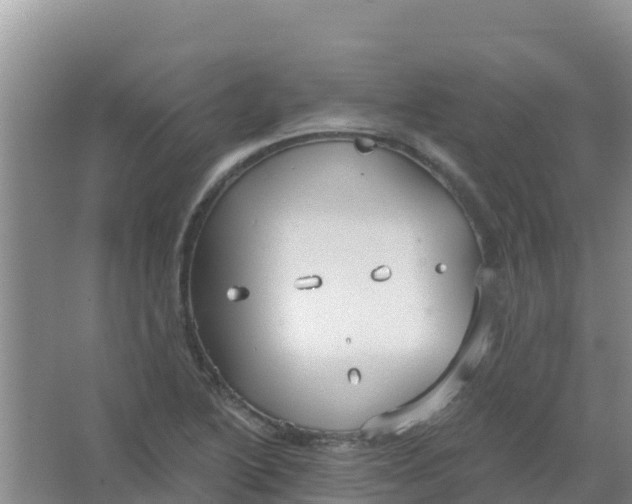 X0000066931222200604071838