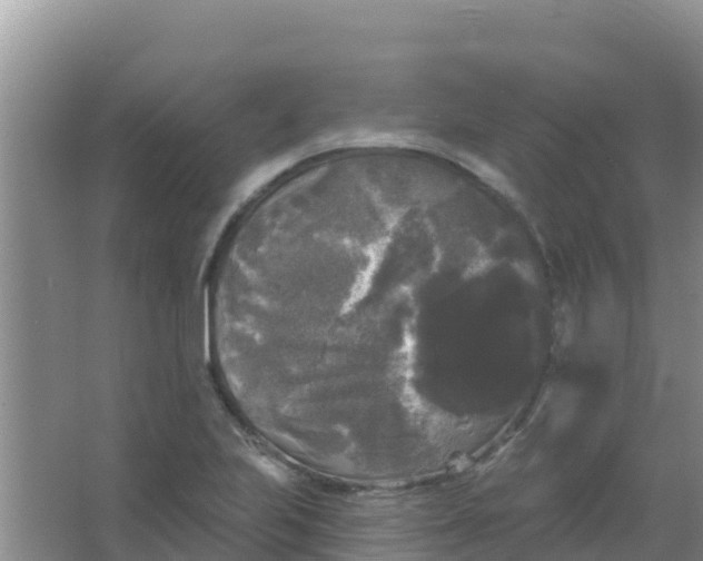 X0000066931223200604071838