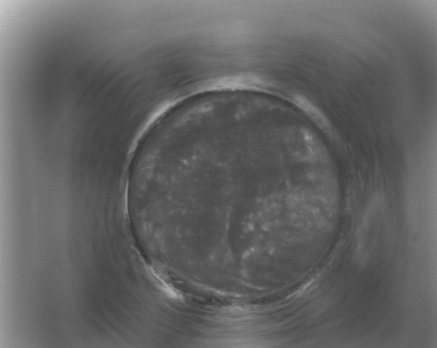 X0000066931224200604071838