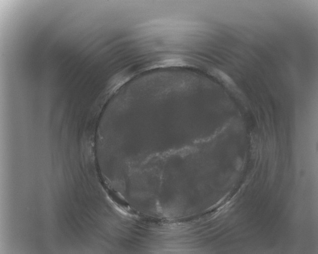 X0000066931225200604071838