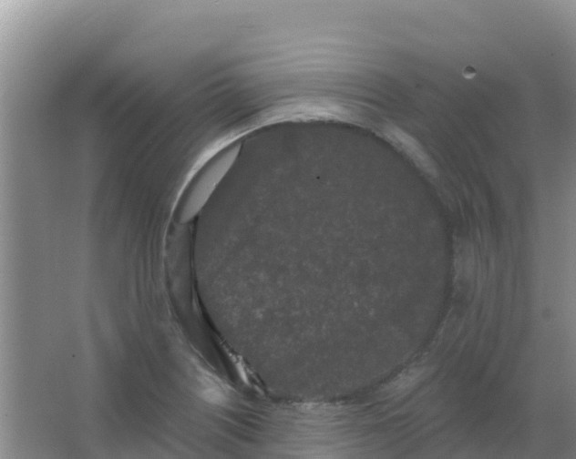 X0000066931226200604071838