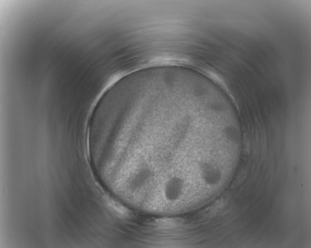 X0000066931227200604071838