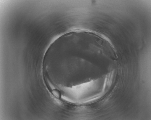 X0000066931231200604071838