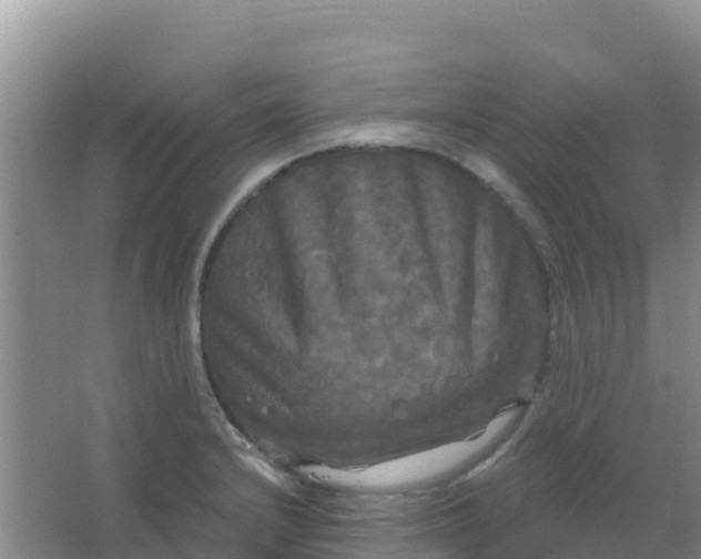 X0000066931232200604071838