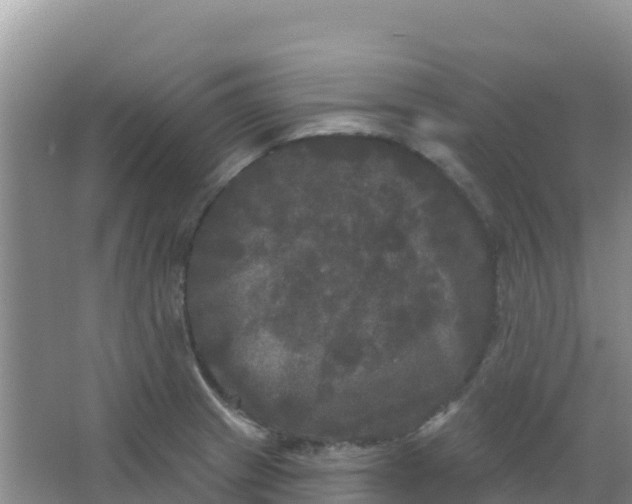 X0000066931233200604071838