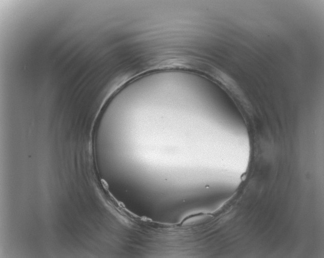 X0000066931234200604071838