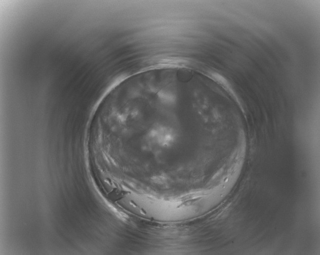 X0000066931235200604071838