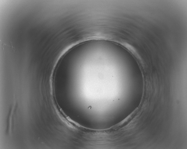 X0000066931238200604071838