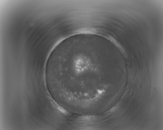 X0000066931240200604071838