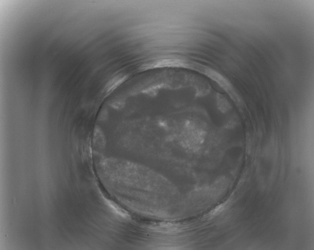 X0000066931241200604071838