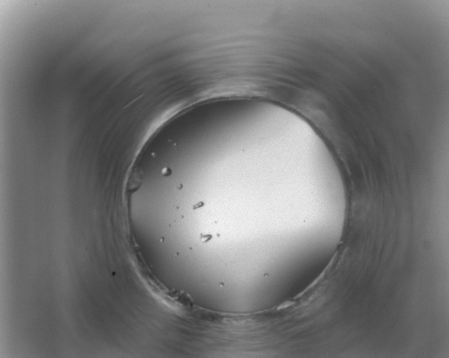 X0000066931242200604071838