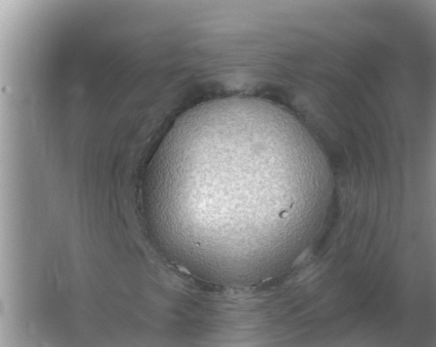 X0000066931249200604071837