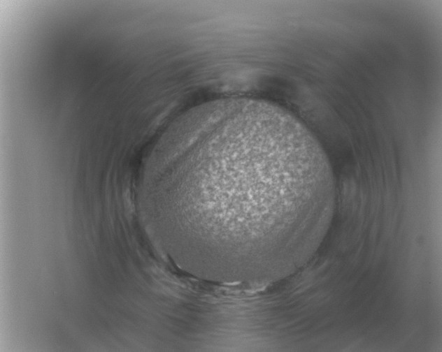 X0000066931250200604071837