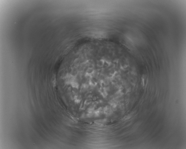 X0000066931251200604071837