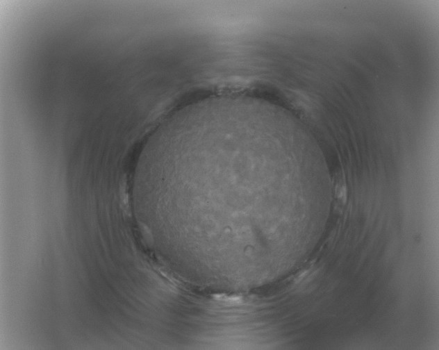 X0000066931252200604071837