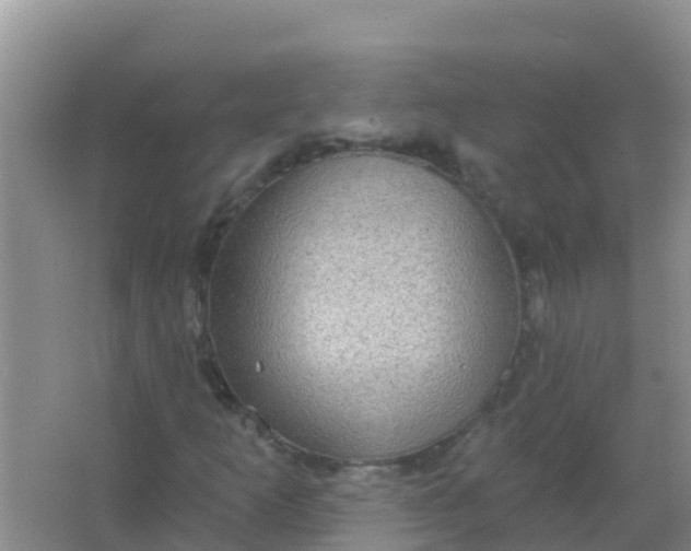 X0000066931253200604071837